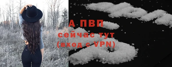 PSILOCYBIN Няндома