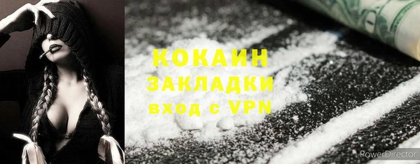 PSILOCYBIN Няндома