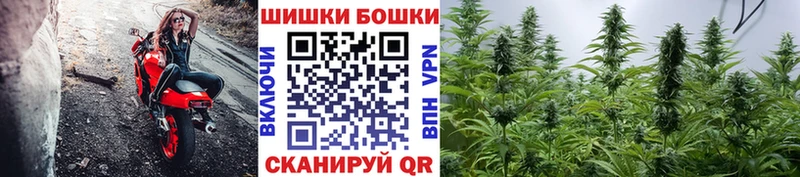 Бошки марихуана VHQ Сосновка